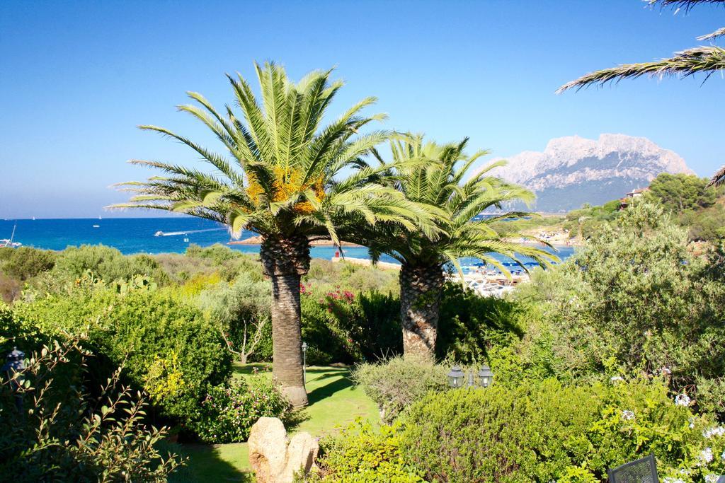 Villa Corallina Costa Corallina Exterior foto